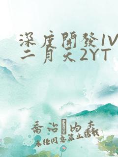 深度开发1V3二月天2YT