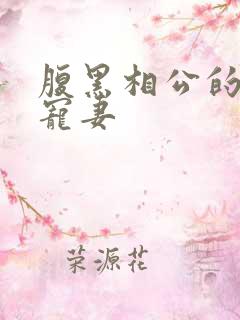 腹黑相公的庶女宠妻