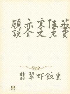 顾亦寒伍薇薇小说全文免费阅读