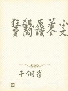 狂飙原著小说免费阅读全文