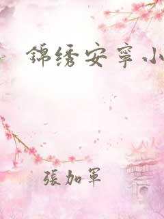 锦绣安宁小说