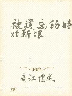 被遗忘的时光txt新浪