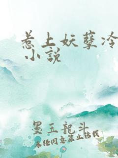 惹上妖孽冷殿下 小说