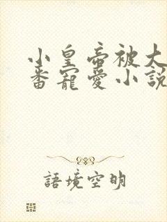 小皇帝被大臣轮番宠爱小说