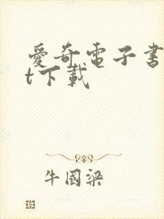 爱奇电子书txt下载