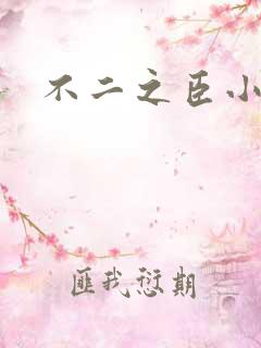不二之臣小说