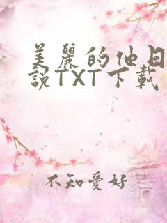 美丽的他日剧小说TXT下载