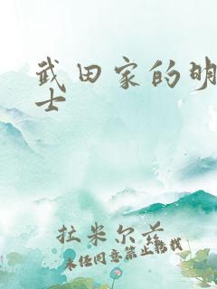 武田家的明国武士