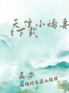 天价小娇妻txt下载