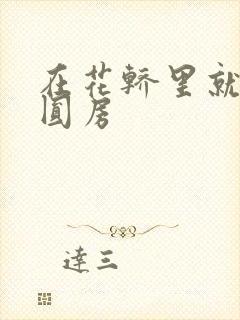 在花轿里就开始圆房