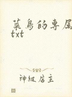 菜鸟的专属大神txt