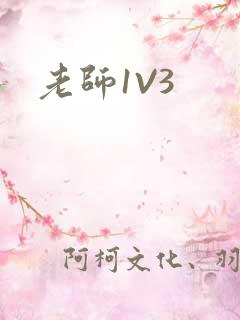 老师1V3