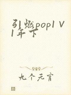 引燃pop1∨1年下