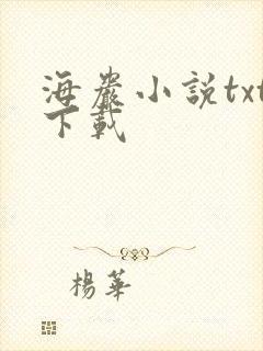 海岩小说txt下载