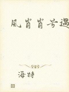 风肖肖兮遇子期