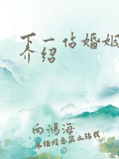 下一站婚姻剧情介绍