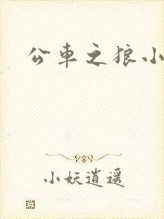 公车之狼小说