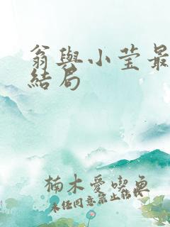 翁与小莹最新大结局