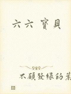 六六 宝贝