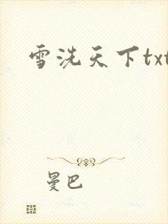 雪洗天下txt
