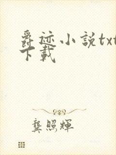爵迹小说txt下载