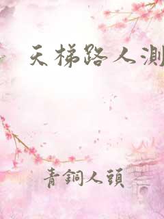 天梯路人测试器