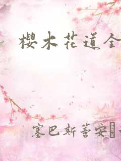 樱木花道全集