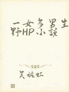 一女多男生活狂野HP小说