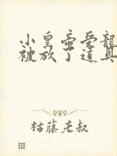 小皇帝受龙椅上被放了道具