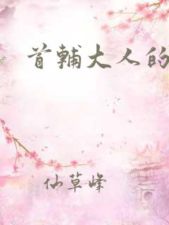 首辅大人的套路