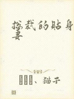 总裁的贴身下堂妻