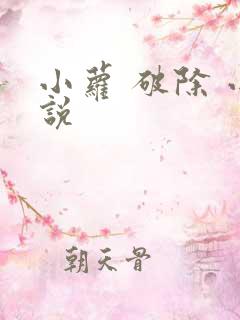 小萝 破除 小说