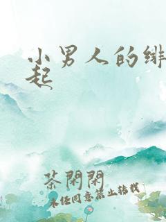 小男人的绯色崛起