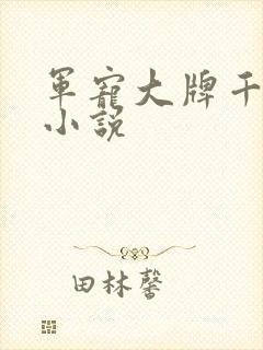 军宠大牌千金 小说