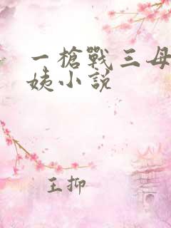 一枪战三母2雪姨小说