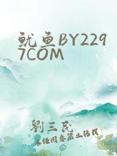 鱿鱼BY2297COM