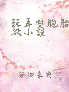 玩弄双胞胎的肉欲小说