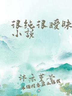 很纯很暧昧有声小说