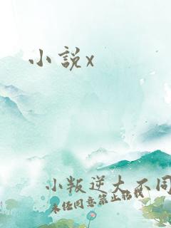 小说x