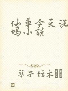 仙尊今天洗白了吗小说