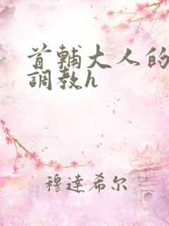 首辅大人的花式调教h