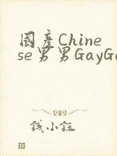 国产Chinese男男GayGayAPP
