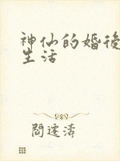 神仙的婚后都市生活
