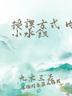 授课方式 肉馅小水饺