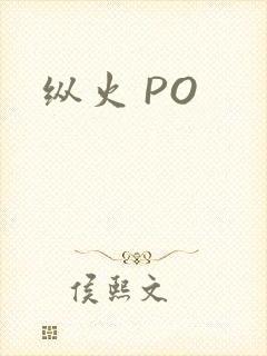 纵火 PO
