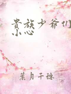 贵族少爷们 请小心