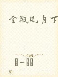 金瓶风月下载