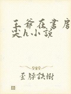 王爷在书房含乳尖h小说