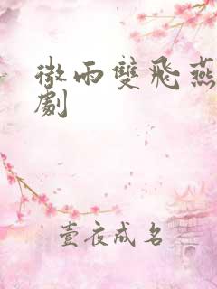 微雨双飞燕电视剧