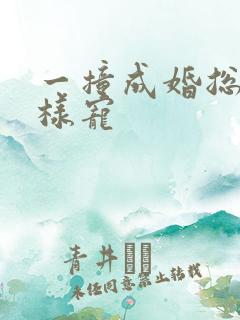 一撞成婚总裁花样宠